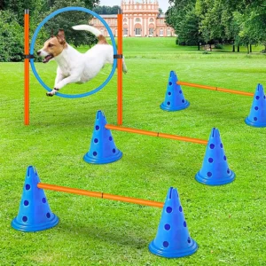 Dog Agility Hurdle Set Medium Large Dog Training Bars Outdoor Obedience Sports Dog Game Exercise Training Equipment