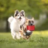 Interactive Dog Training Toy Multi Colors Dog Exercise Tug Toys Durable Dog Bite Ball Toy Puppy Pet Aggressive Chewers Agility