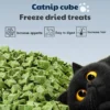 Catnip Booster Hairball Gemok Repacked Freeze Dried Pet Snacks Cat Dog Gemuk