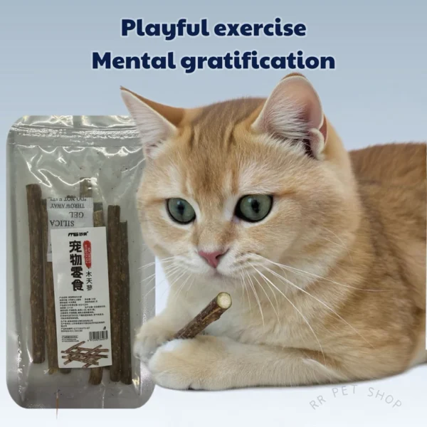 Catnip Stick Treat Silvervine Matatabi Teeth Cleaning Cat Chew Catmint