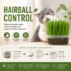 Cat Grass Seeds Kit   Indoor Growing Pet Grass   Hairball Control   Fresh Breath   Easy Grow for Cats