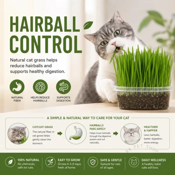 Cat Grass Seeds Kit   Indoor Growing Pet Grass   Hairball Control   Fresh Breath   Easy Grow for Cats