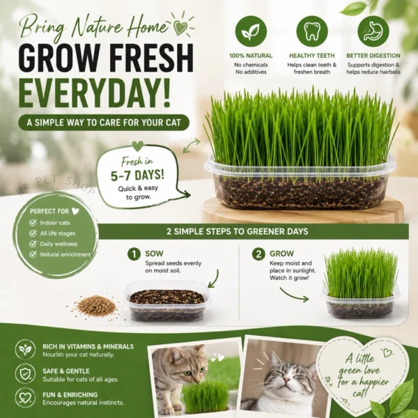 Cat Grass Seeds Kit   Indoor Growing Pet Grass   Hairball Control   Fresh Breath   Easy Grow for Cats