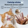 Catnip Stick Treat Silvervine Matatabi Teeth Cleaning Cat Chew Catmint
