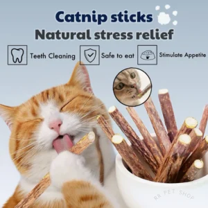 Catnip Stick Treat Silvervine Matatabi Teeth Cleaning Cat Chew Catmint