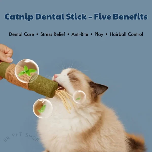 my-11134207-820lg-mja77peczcw6ce.webp Jumbo Catnip Stick Cat Toy Cat Molar Stick Cat Teething Stick Cat Lollipop Licking Fun Teasing Cat Snacks Treats