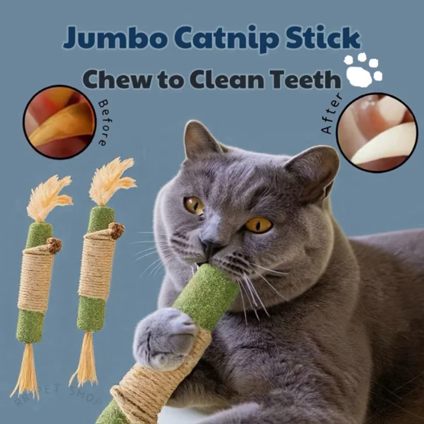my-11134207-820lg-mje762t7oh6u61.webp Jumbo Catnip Stick Cat Toy Cat Molar Stick Cat Teething Stick Cat Lollipop Licking Fun Teasing Cat Snacks Treats