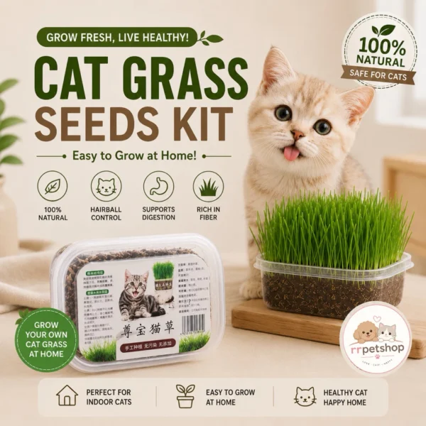 Cat Grass Seeds Kit   Indoor Growing Pet Grass   Hairball Control   Fresh Breath   Easy Grow for Cats